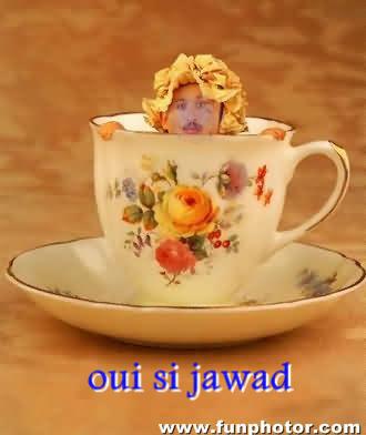 ok si jawad